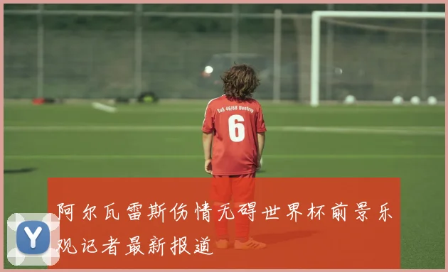 阿尔瓦雷斯伤情无碍世界杯前景乐观记者最新报道
