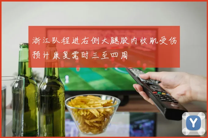 浙江队程进右侧大腿股内收肌受伤预计康复需时三至四周